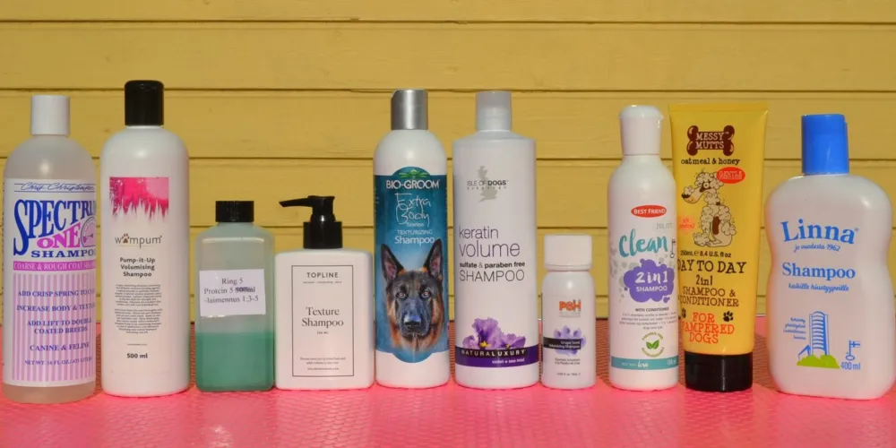 Paras shampoo pitkäkarvaiselle collielle