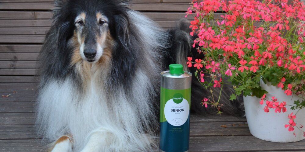 Riemu testaa: Nutrolin Senior ravintoöljy