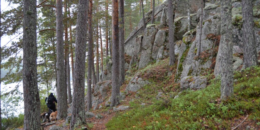 Seikkailu Repoveden kansallispuistossa