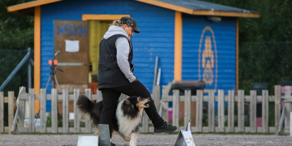 Riemu KKH:n tokokoira ja rally-tokokoira 2020