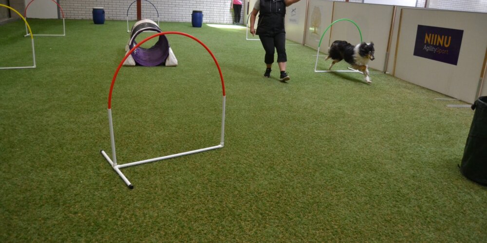 Riemu testaa: Hoopers