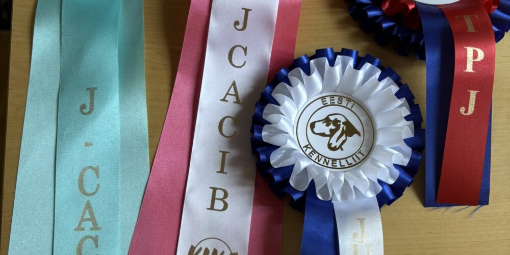 Lilibet on nyt C.I.B.-J – Kansainvälinen juniorimuotovalio!