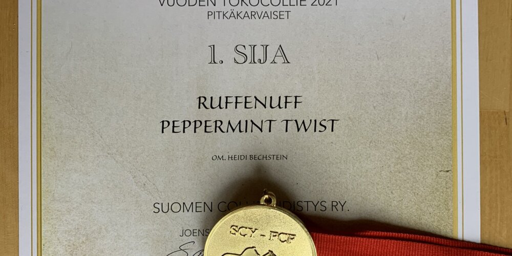 Riemu on vuoden 2021 tokocollie