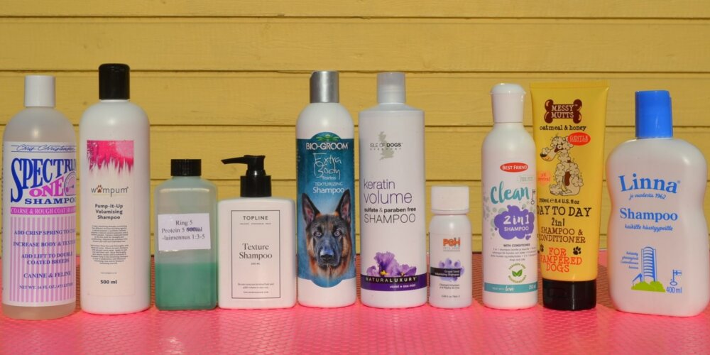 Paras shampoo pitkäkarvaiselle collielle