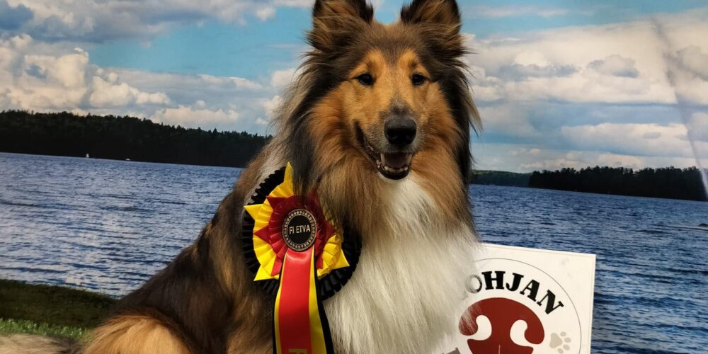 Upea uutinen: Rose valioitui EVL:stä!