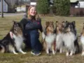 Minut valittiin DogCoach brändilähettilääksi!
