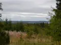 Vaaralta toiselle Vuokatin Koiravaelluksella