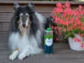 Riemu testaa: Nutrolin Senior ravintoöljy