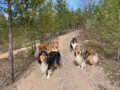Riemu testaa: Touhu ja Temmellys Metsämonttu