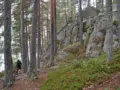 Seikkailu Repoveden kansallispuistossa