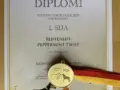Riemu on vuoden 2021 tokocollie