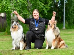 Collieiden rally-tokomestaruudet 2025 Hausjärvellä