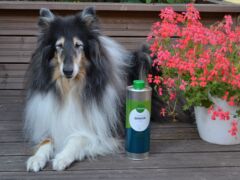 Riemu testaa: Nutrolin Senior ravintoöljy