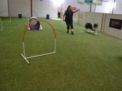 Riemu testaa: Hoopers