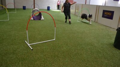 Riemu testaa: Hoopers
