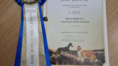Colliekilpailujen 2024 satoa