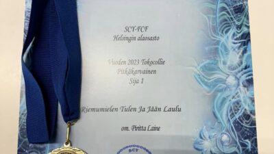Menestystä SCY Helsingin colliekilpailuissa 2023