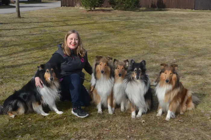 Uusi DogCoach brändilähettiläs ja Riemumielen pitkäkarvaiset colliet vasemmalta oikealle: Fiona, Kaisla, Vappu, Riemu ja Sansa.