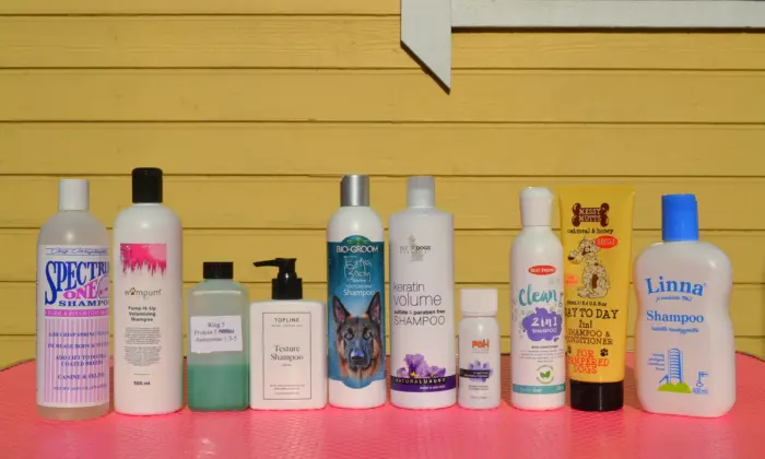 Mikä on paras shampoo pitkäkarvaiselle collielle? Collie shampoo