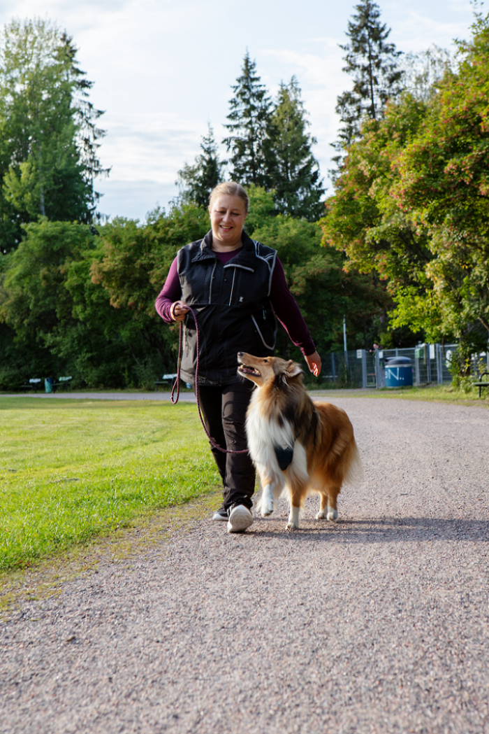 Heidi ja RTK3 PAIM-T Riemumielen Hurjasusi Nymeria