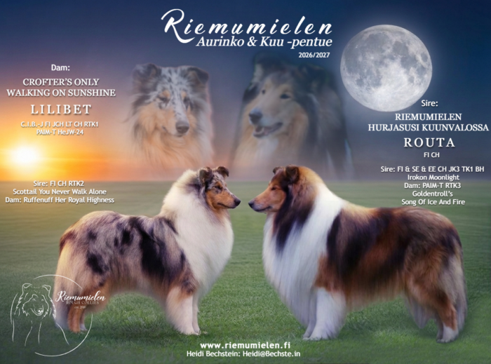 https://www.riemumielen.fi/uploads/blog/maino3-1-2.png