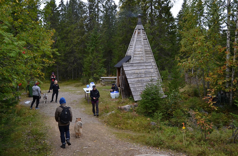 Colliet Vuokatin Koiravaelluksella