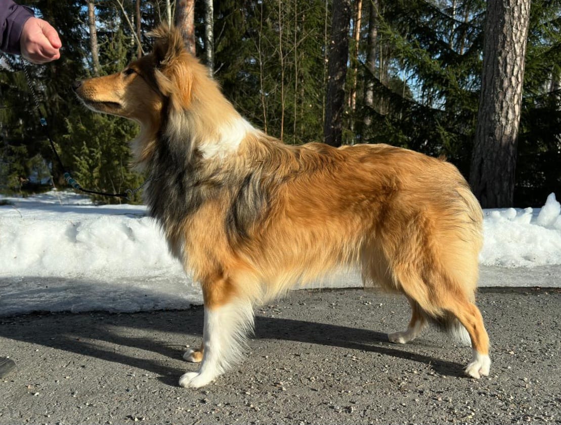 https://www.riemumielen.fi/uploads/blog/Enia-n-85-kk.jpg