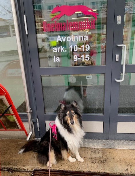 Kotiinlähdön aika koitti Riemullekin. Kiitämme koirakahvila Unelmaa!