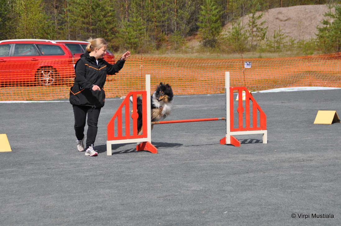 Rally-tokomokat: Vasen käsi ohjaa tuonne ja oikea tänne. Ei ihme, että Riemu tiputtaa toisinaan rimoja!