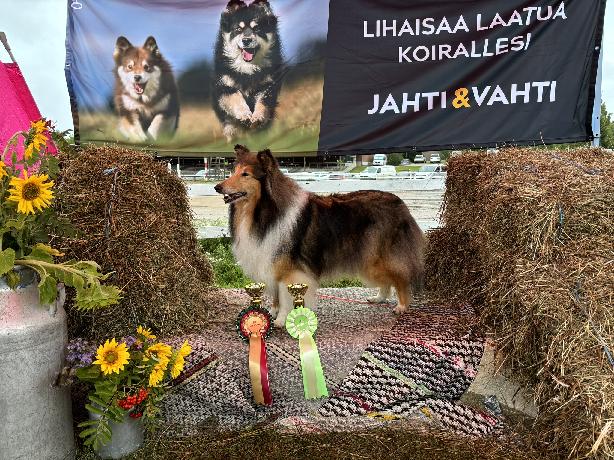 https://www.riemumielen.fi/uploads/blog/Riihimaki-1.9.2024-VMVA-2-1.jpeg