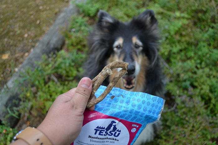 Tessu koiranruoka