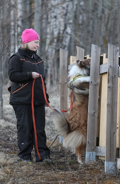Nosework