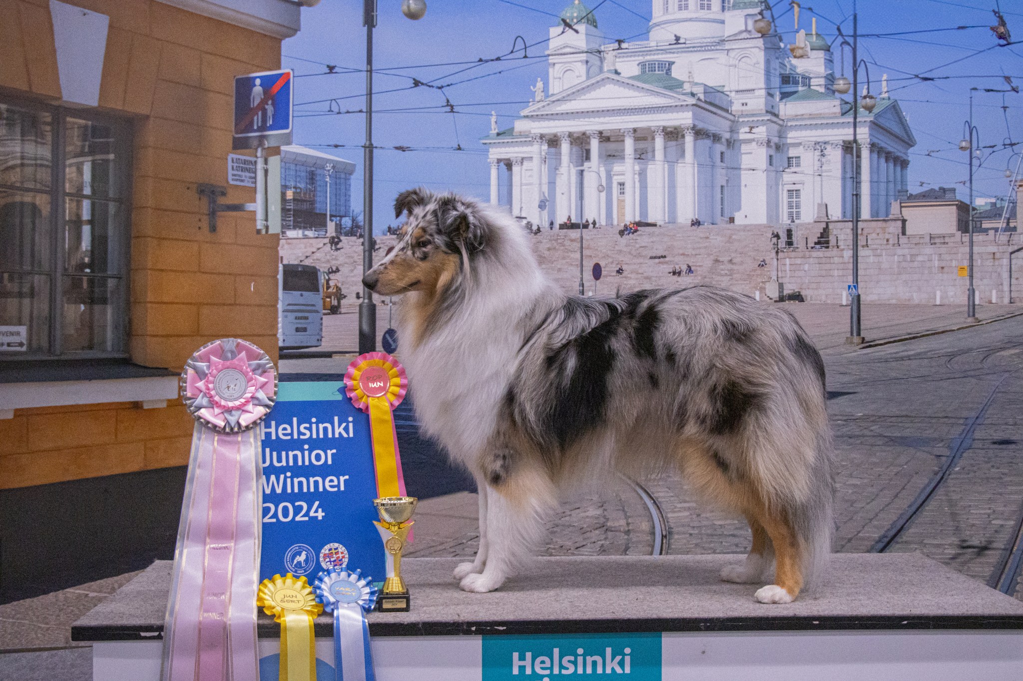 https://www.riemumielen.fi/uploads/blog/messari24-166-1.jpg