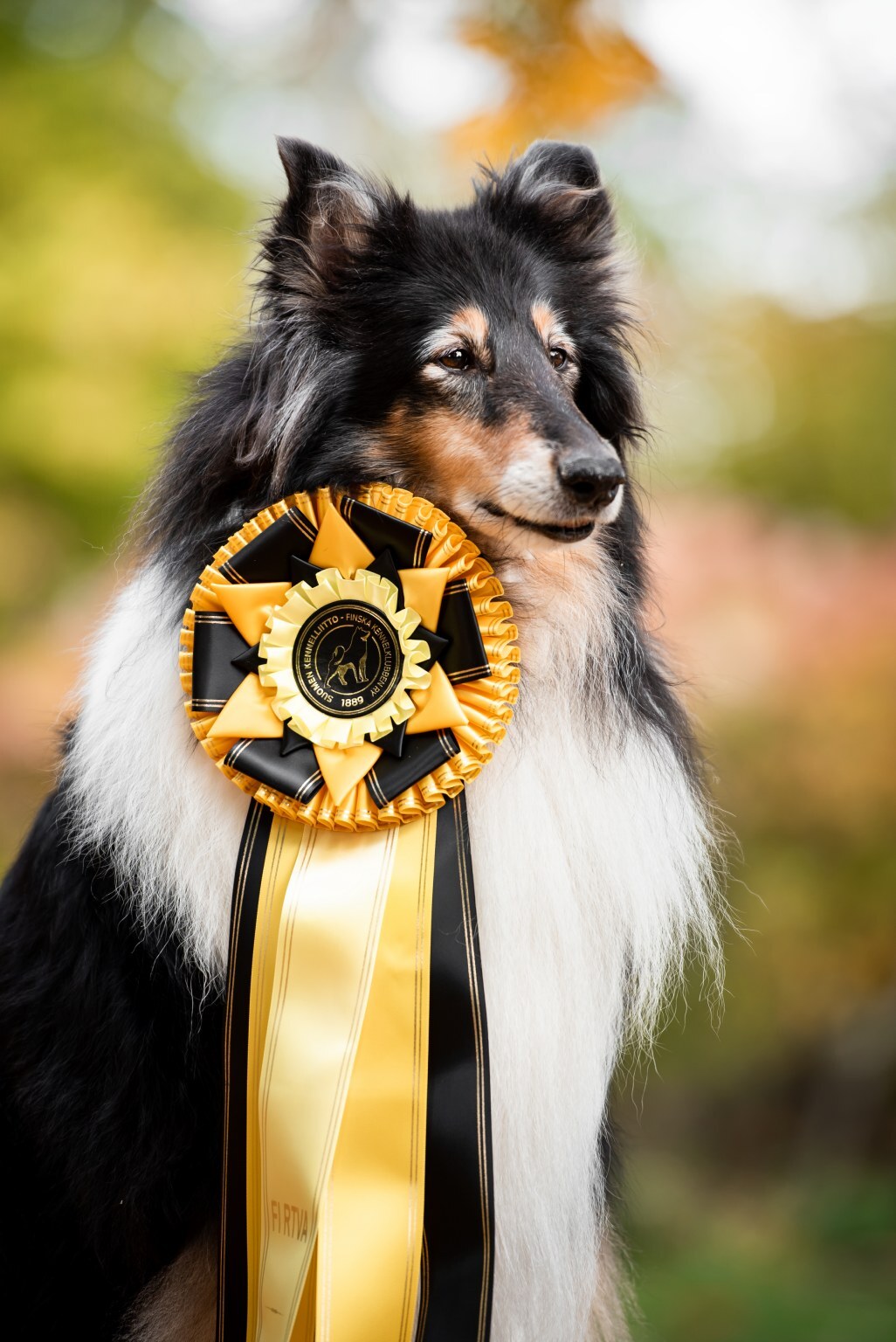 https://www.riemumielen.fi/uploads/dogs/DSC_0681.jpg