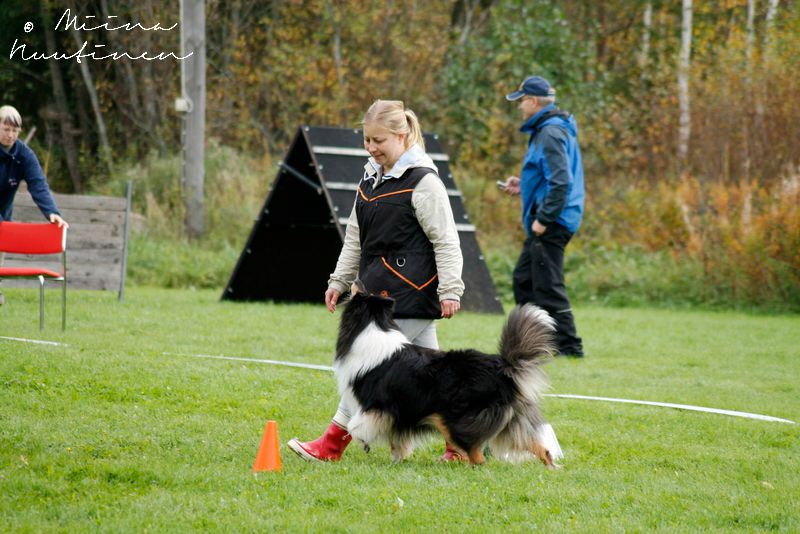 Suomen Rally-tokovalio Ruffenuff Peppermint Twist eli Riemu.