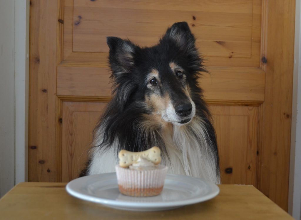 Synttärisankari poseeraa kuppikakun kanssa. Paljon onnea Riemu 8 vuotta!