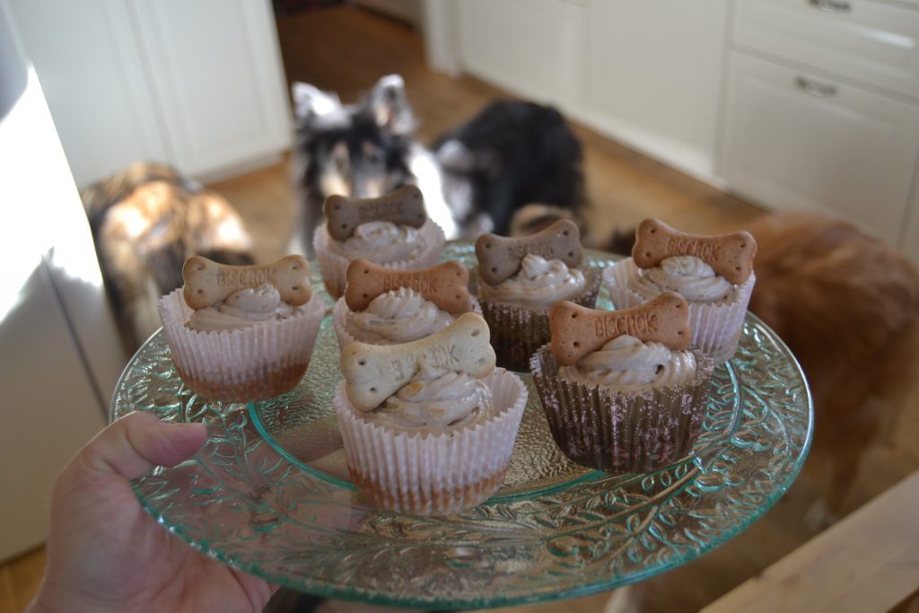 Collietytöt odottavat innoissaan kuppikakkujen tarjoilua.