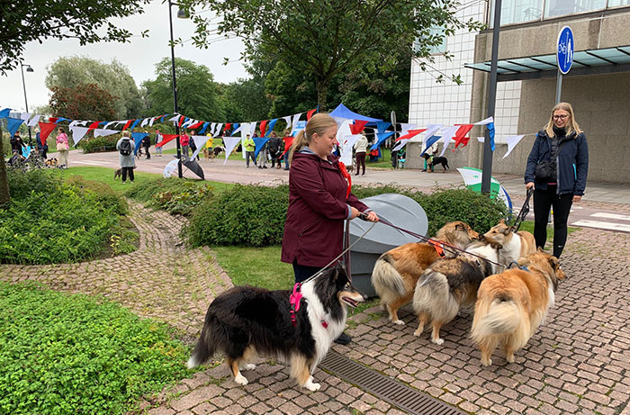 Rotukoirakävely 2020