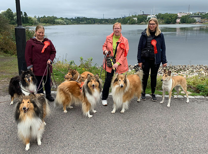 Rotukoirakävely 2020