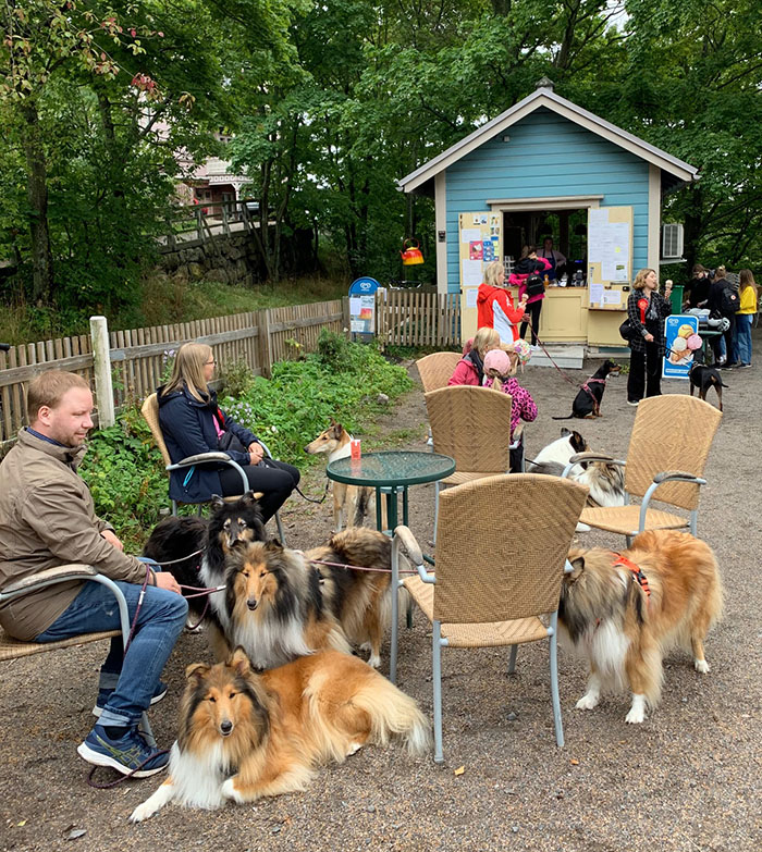 Rotukoirakävely 2020