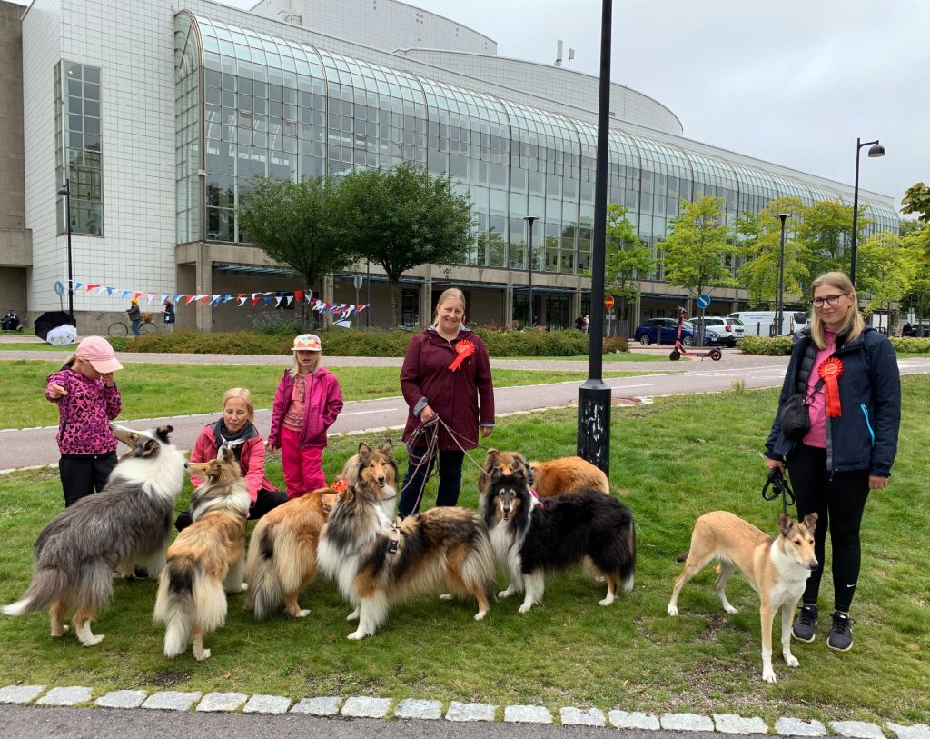 Rotukoirakävely 2020