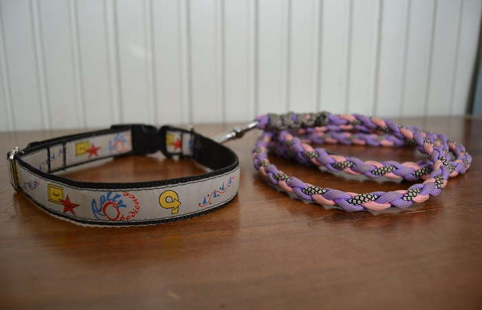 Kaulapanta ja hihna rally-tokossa. Koiran varusteet koiraurheilulajissa rally-toko.