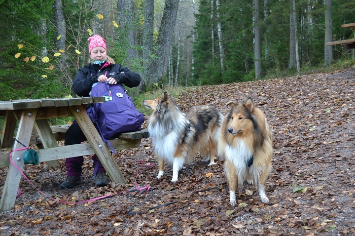 Vappu näyttää pohtivan, olisiko repussa lisää herkkuja koirille, kun retkeillään Nuuksion kansallispuistossa.