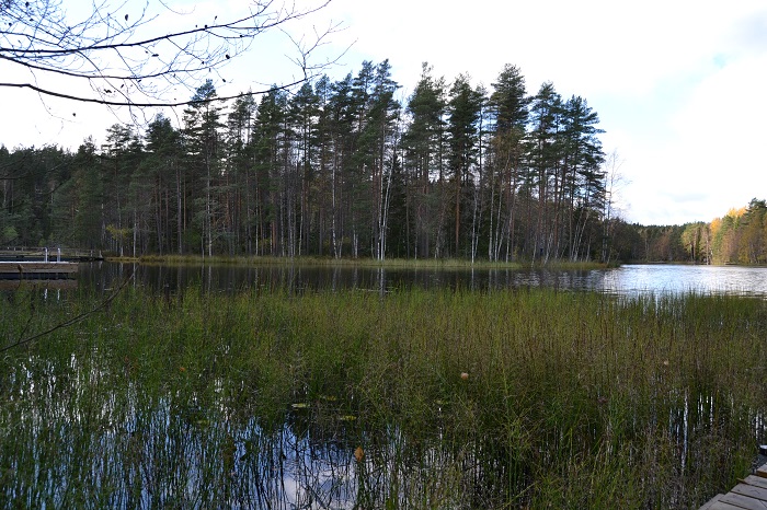 Nuuksion kansallispuiston Haukkalampi ja sen lähellä kulkevat lyhyemmät rengasreitit vetävät retkeilijöitä puoleensa.
