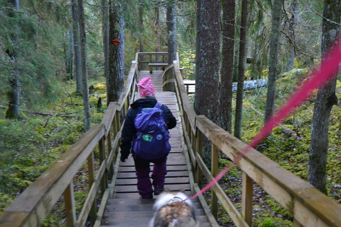 Nuuksiossa Haltian ja Haukkalammen yhdysreitin varrella on muutamat jyrkät portaat.