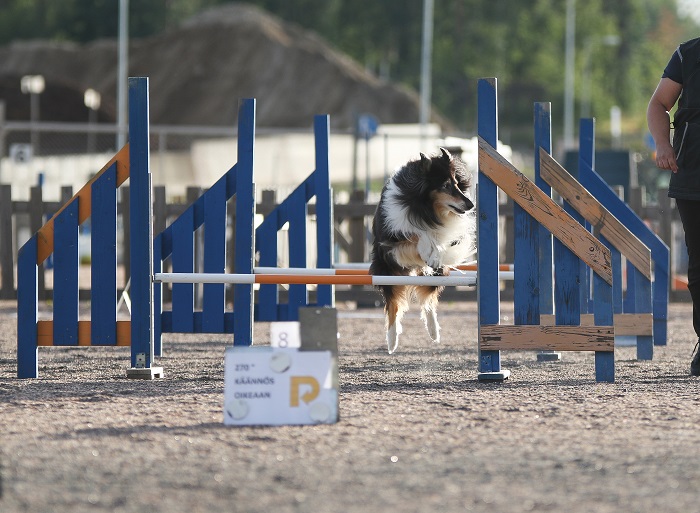 Rally-tokon kilpailusuoritukseen valmistautuminen