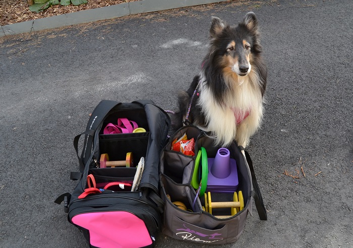 Nämä on molemmat ihan ookoo, tuumii Riemu-collie ProPakin ja Riemu-treenikassin vierellä. 