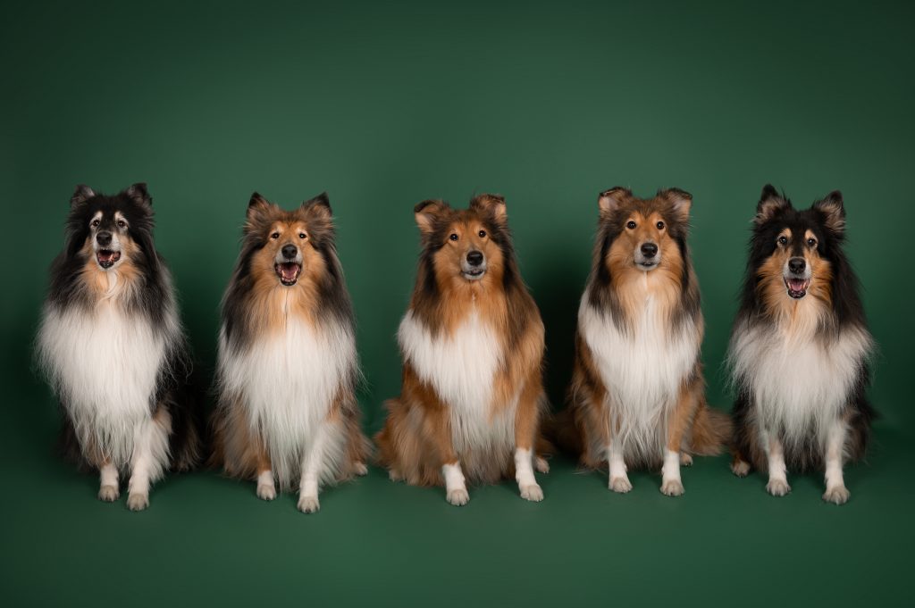 Tämän kuvan alt-attribuutti on tyhjä; Tiedoston nimi on Yhteiskuva_2023-1-1024x681.jpg